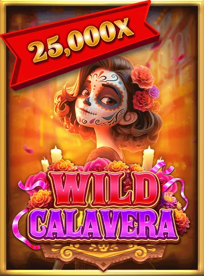 Baccarat card game cover